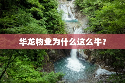 华龙物业为什么这么牛？