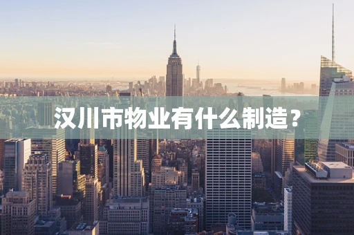 汉川市物业有什么制造？