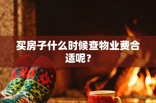 买房子什么时候查物业费合适呢？