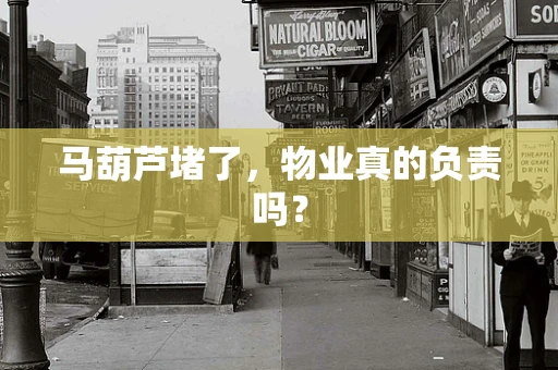 马葫芦堵了，物业真的负责吗？
