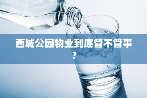 西城公园物业到底管不管事？