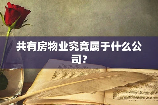 共有房物业究竟属于什么公司？