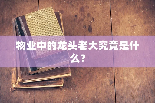 物业中的龙头老大究竟是什么？