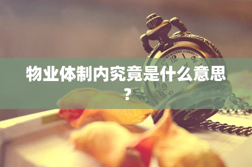 物业体制内究竟是什么意思？