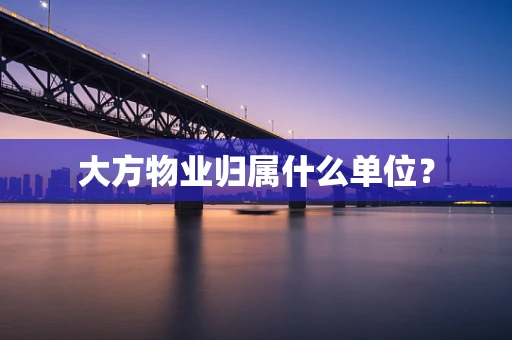 大方物业归属什么单位？