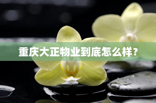 重庆大正物业到底怎么样？