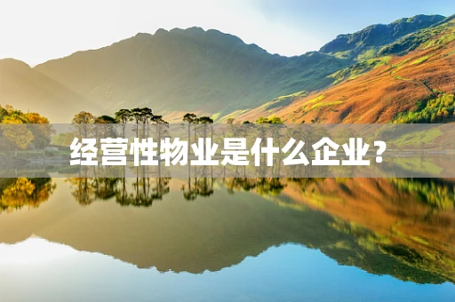 经营性物业是什么企业？