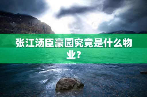 张江汤臣豪园究竟是什么物业？