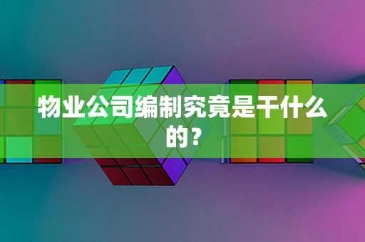 物业公司编制究竟是干什么的？