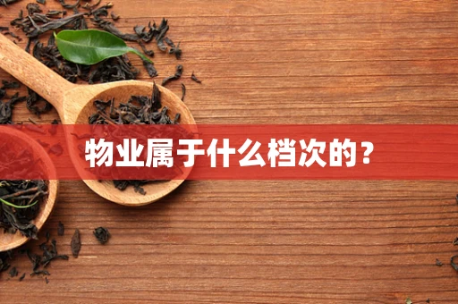 物业属于什么档次的？