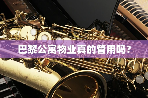 巴黎公寓物业真的管用吗？