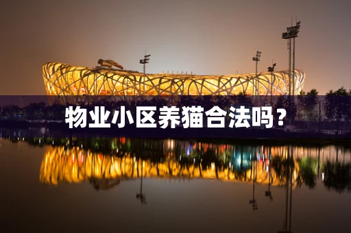 物业小区养猫合法吗？