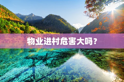物业进村危害大吗？