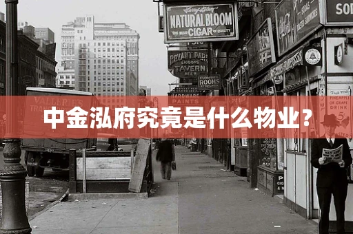 中金泓府究竟是什么物业？