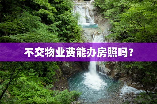 不交物业费能办房照吗？