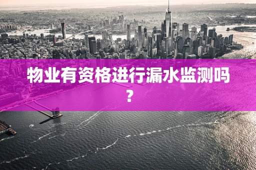 物业有资格进行漏水监测吗？