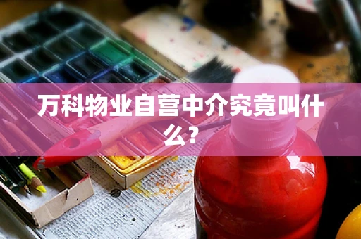 万科物业自营中介究竟叫什么？