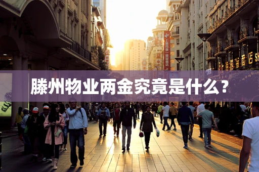 滕州物业两金究竟是什么？