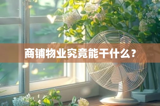 商铺物业究竟能干什么？
