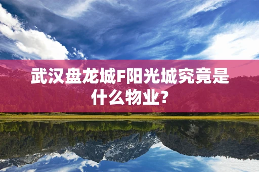 武汉盘龙城F阳光城究竟是什么物业？