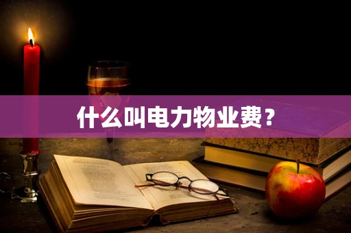 什么叫电力物业费？