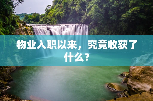 物业入职以来，究竟收获了什么？