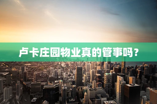 卢卡庄园物业真的管事吗？