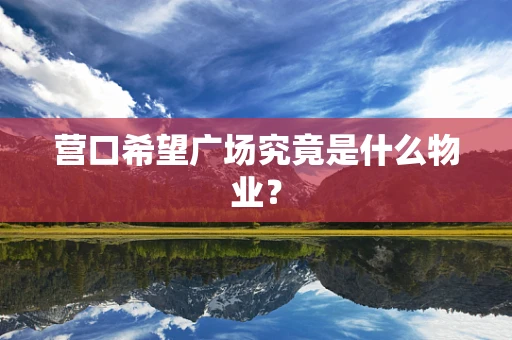 营口希望广场究竟是什么物业？