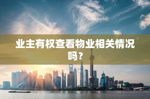 业主有权查看物业相关情况吗？