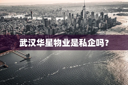 武汉华星物业是私企吗？
