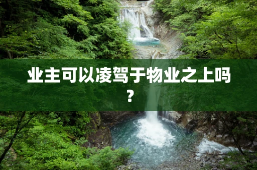 业主可以凌驾于物业之上吗？