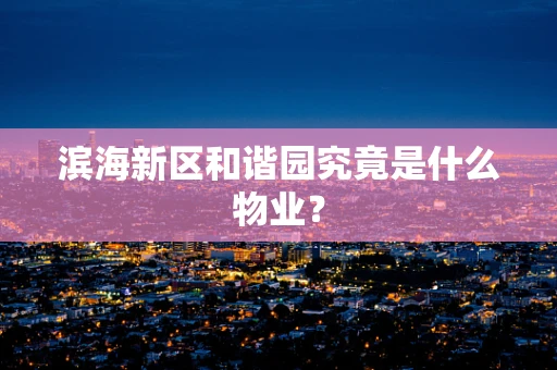 滨海新区和谐园究竟是什么物业？