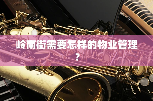 岭南街需要怎样的物业管理？