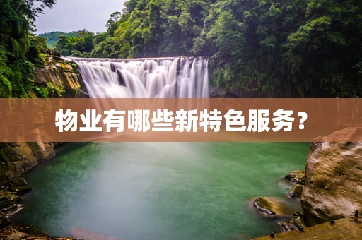 物业有哪些新特色服务？