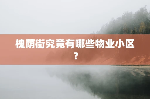 槐荫街究竟有哪些物业小区？