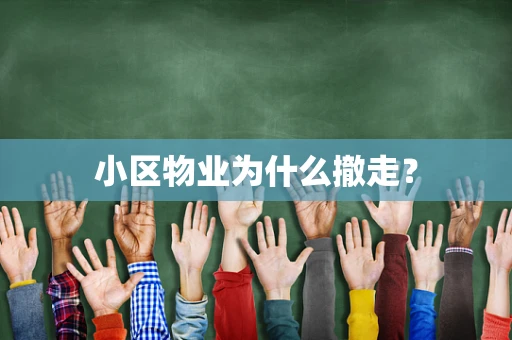 小区物业为什么撤走？