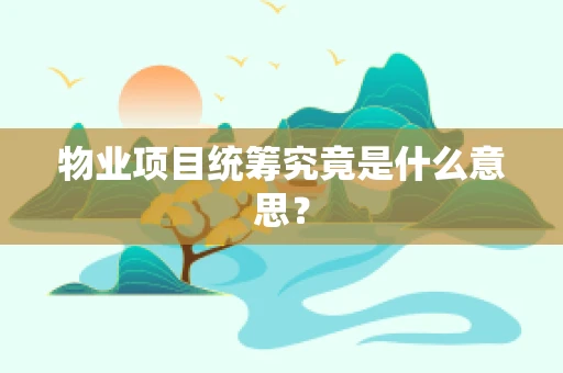 物业项目统筹究竟是什么意思？