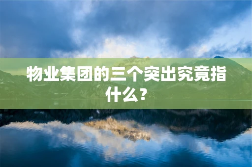 物业集团的三个突出究竟指什么？
