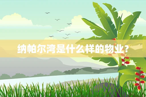 纳帕尔湾是什么样的物业？