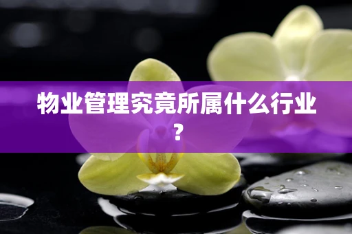 物业管理究竟所属什么行业？