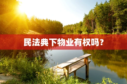 民法典下物业有权吗？