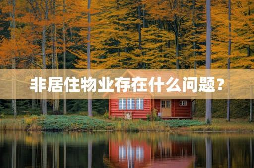 非居住物业存在什么问题？
