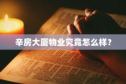 辛房大厦物业究竟怎么样？