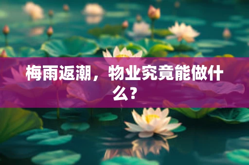 梅雨返潮，物业究竟能做什么？