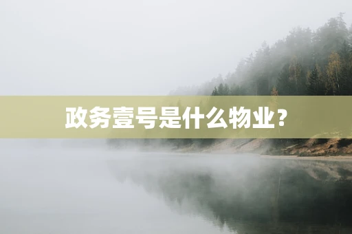 政务壹号是什么物业？