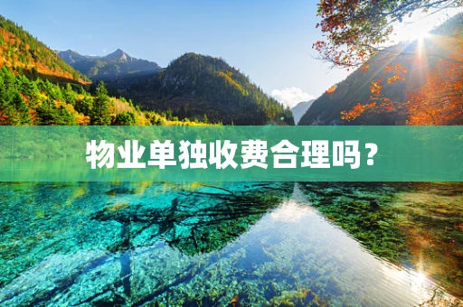 物业单独收费合理吗？