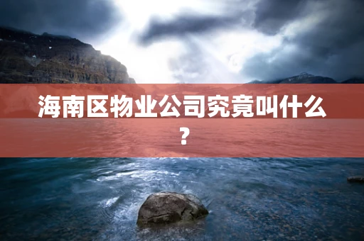 海南区物业公司究竟叫什么？