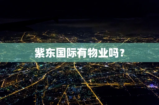 紫东国际有物业吗？