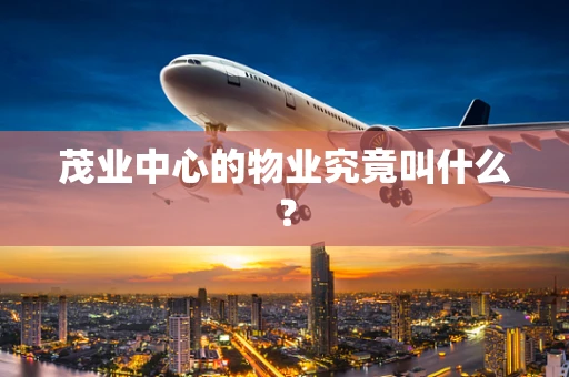 茂业中心的物业究竟叫什么？