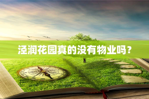 泾润花园真的没有物业吗？